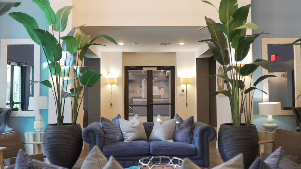 Modern lobby at Novus Westshore with lush plants, blue sofa, mirrors, and soft lighting—the best place to call home in Westshore Tampa.